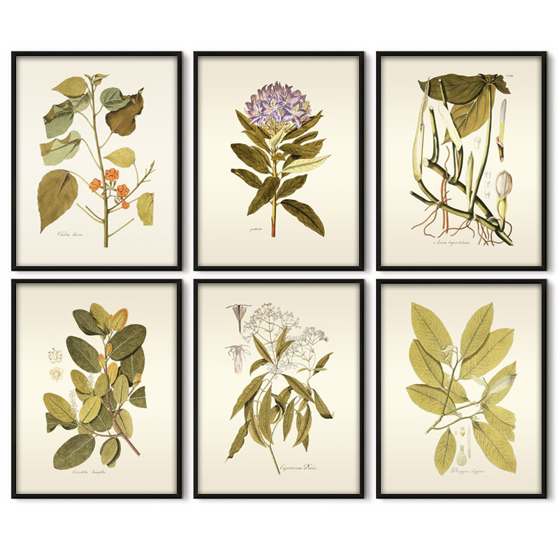 Office Furniture York - Herbaceous Plant Wall Art Painting Vintage