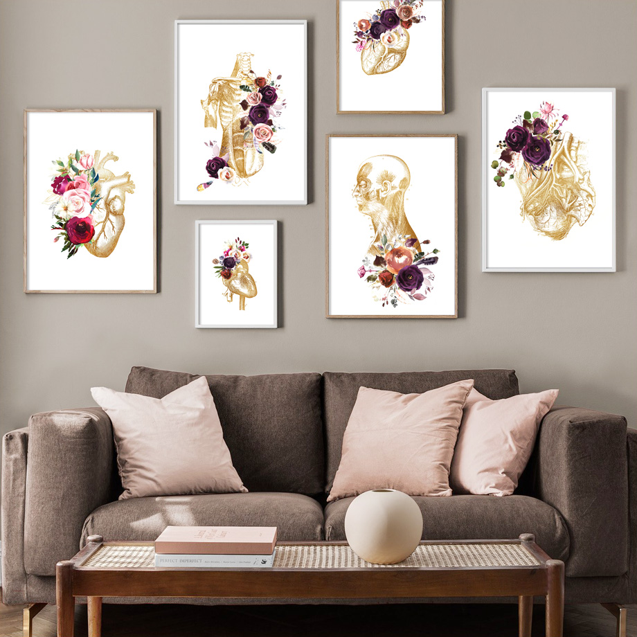 Human Anatomy Muscle Viscera R - Office Furniture York ulasan dan harga