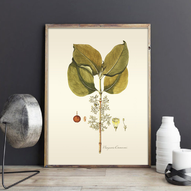 Herbaceous Plant Wall Art Pain - Office Furniture York ulasan dan harga