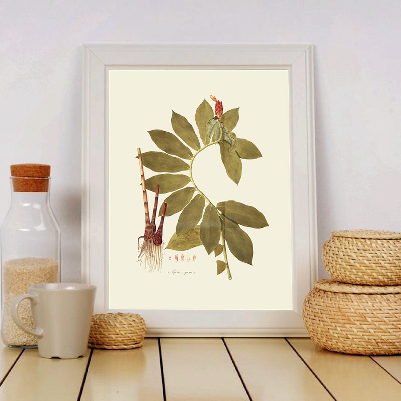 Herbaceous Plant Wall Art Pain - Office Furniture York ulasan dan harga