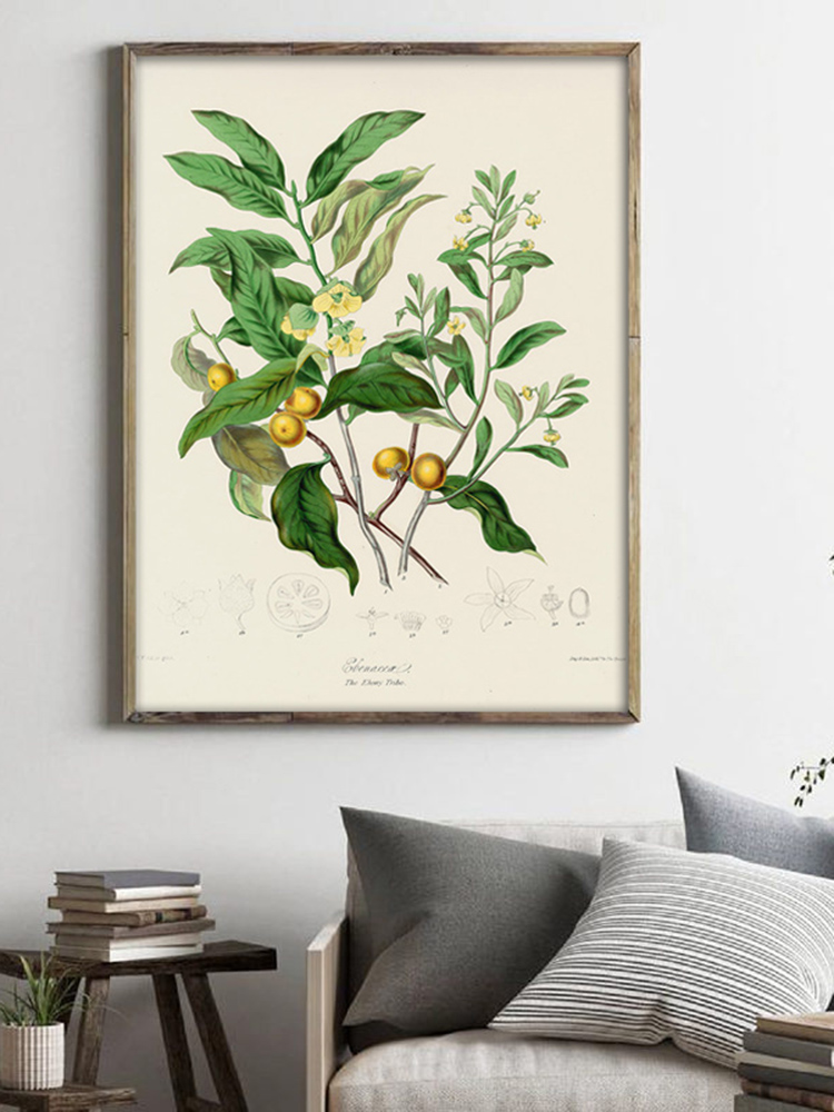 Herbaceous Plant Wall Art Pain - Office Furniture York ulasan dan harga