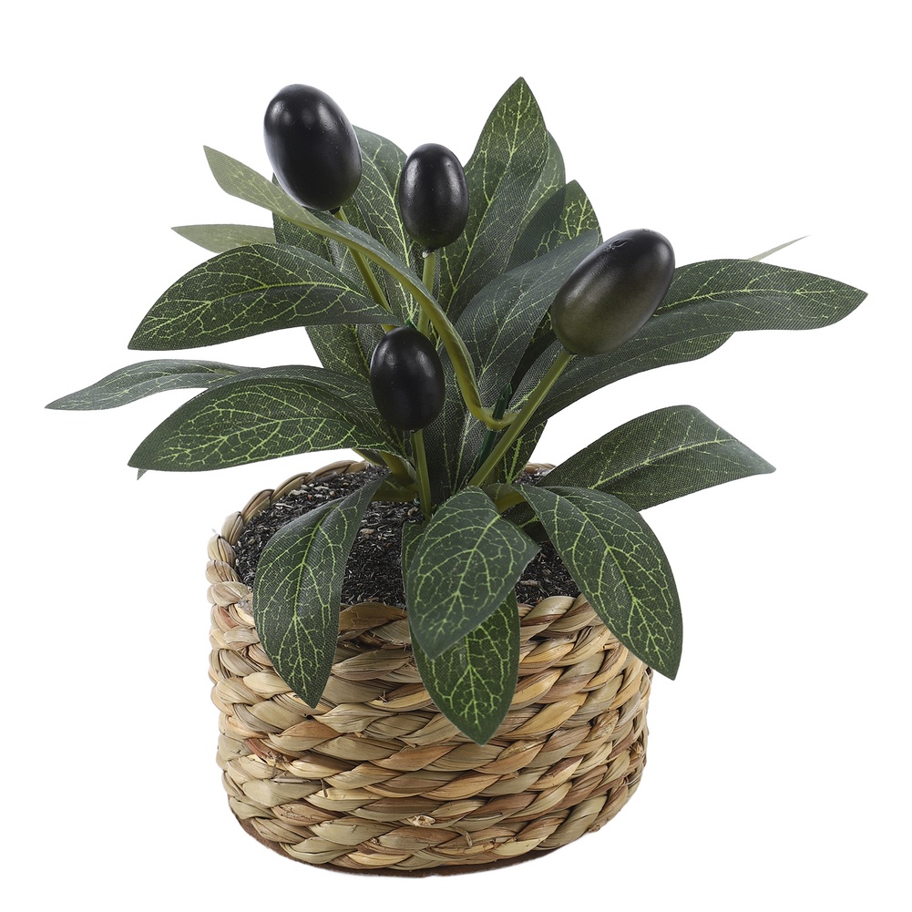 Artificial Plants Pocket Olive - Office Furniture Used ulasan dan harga